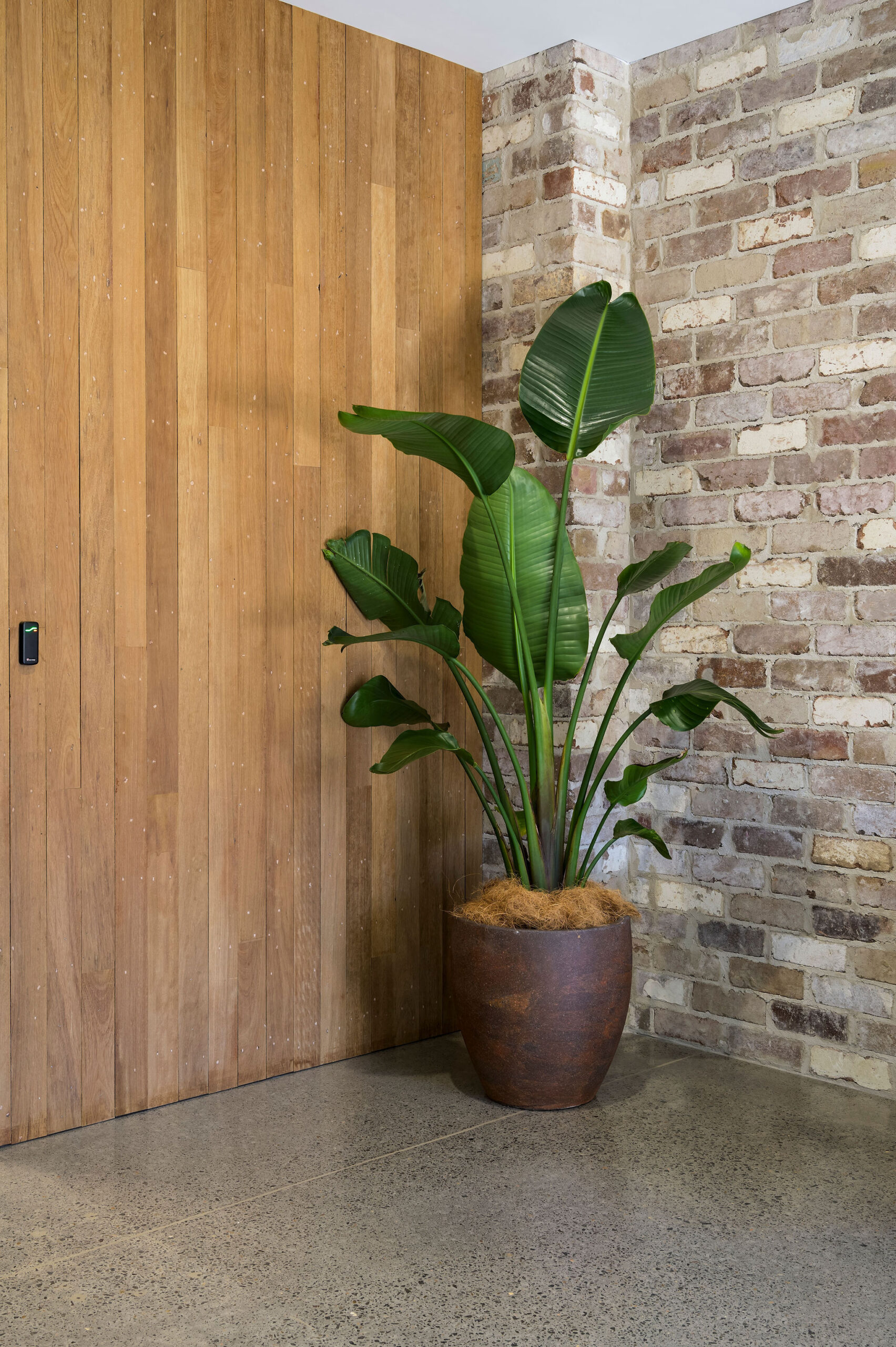 14 Atelierphotography 20240621 0581 Bradshawconcreting Modifier