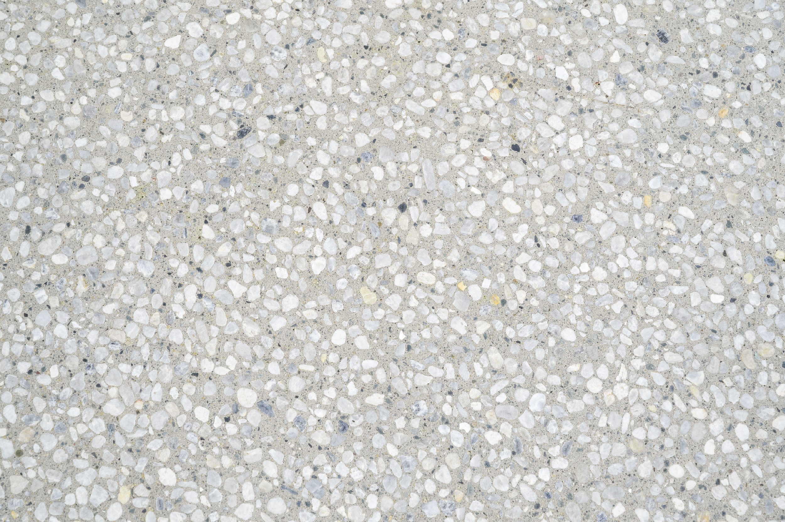 06 atelierphotography 20250617 0207 bradshaw modifier copy