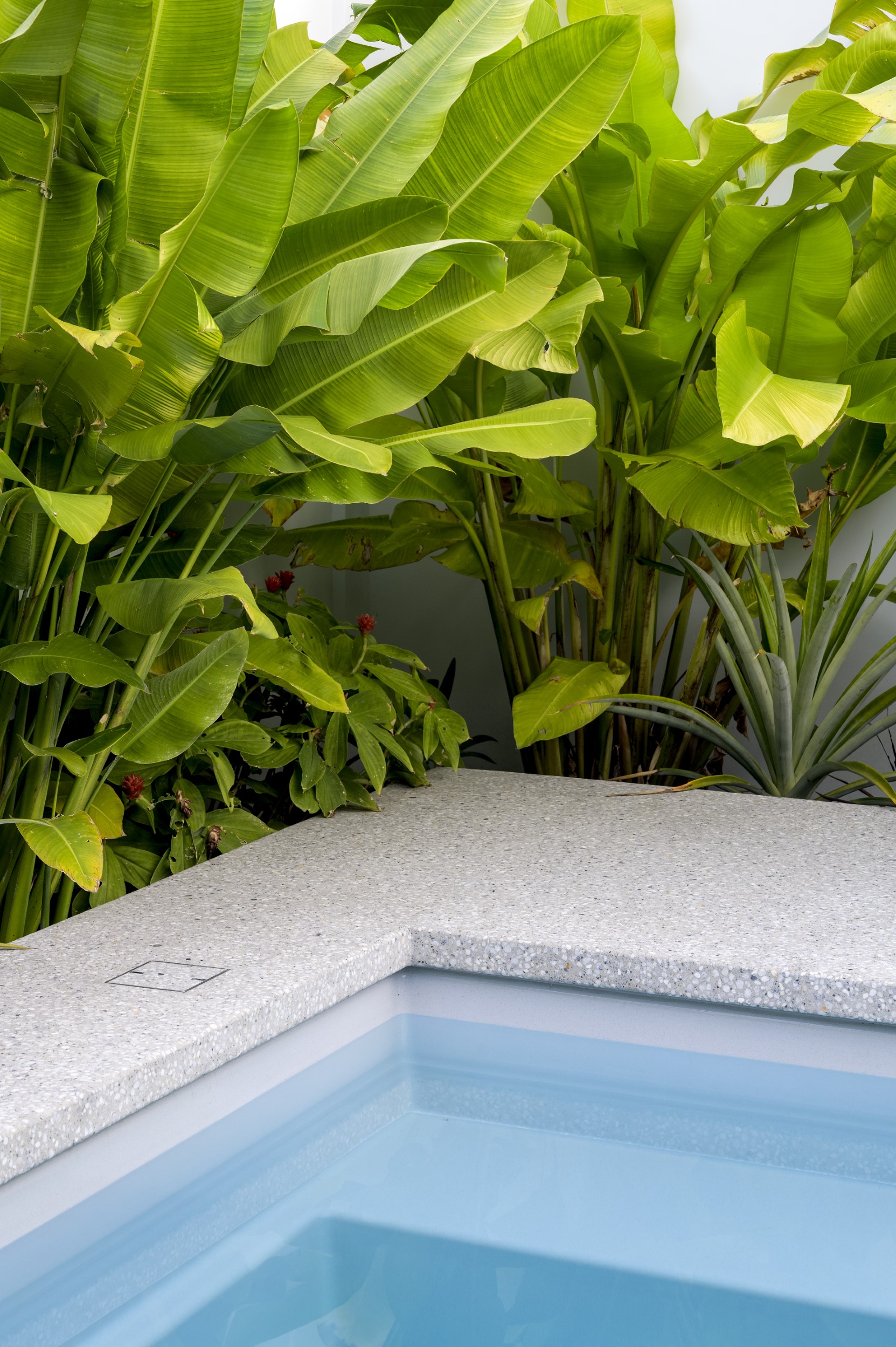 08 atelierphotography 20250617 0202 bradshaw modifier copy