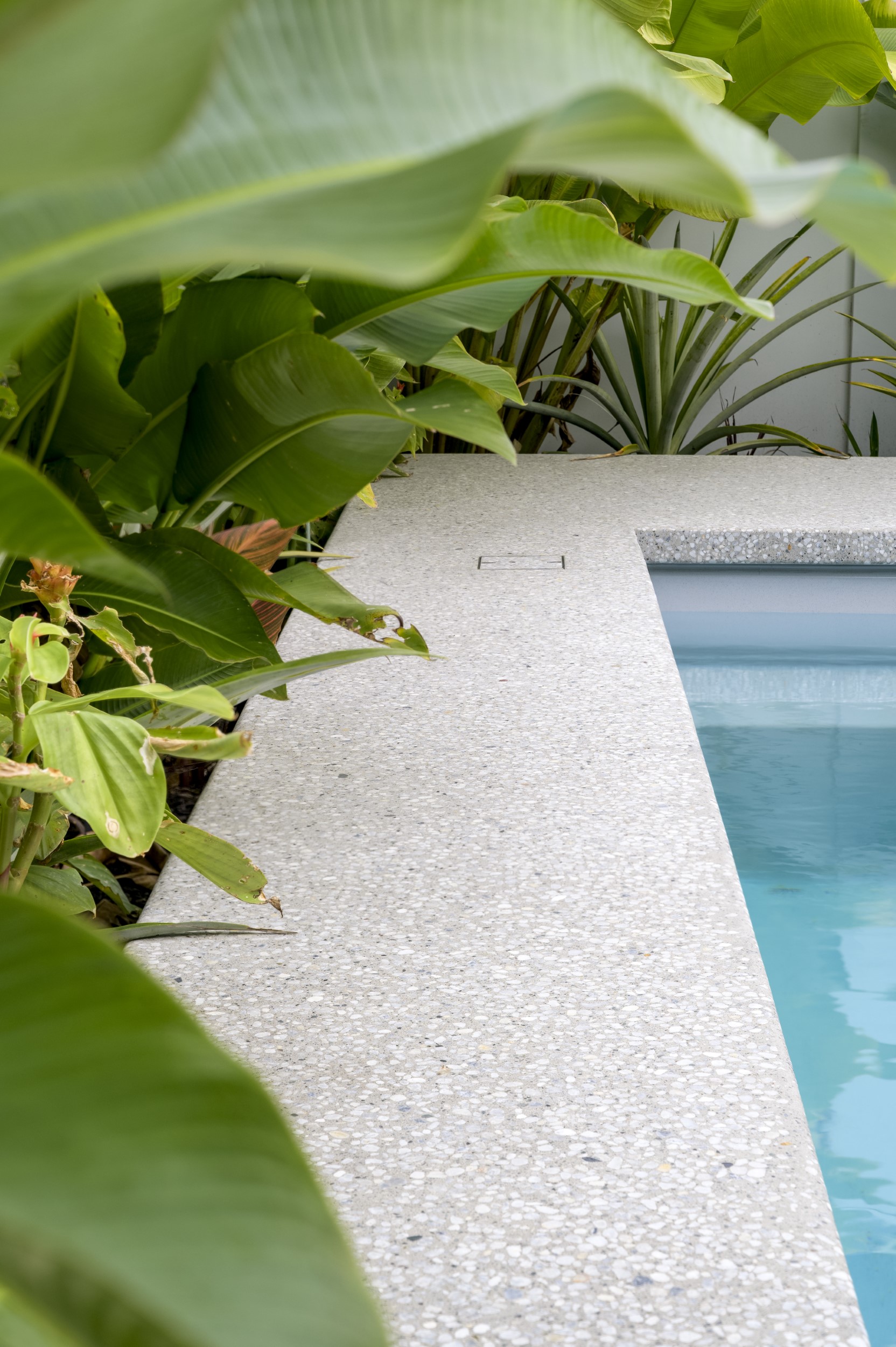 09 atelierphotography 20250617 0027 bradshaw modifier copy