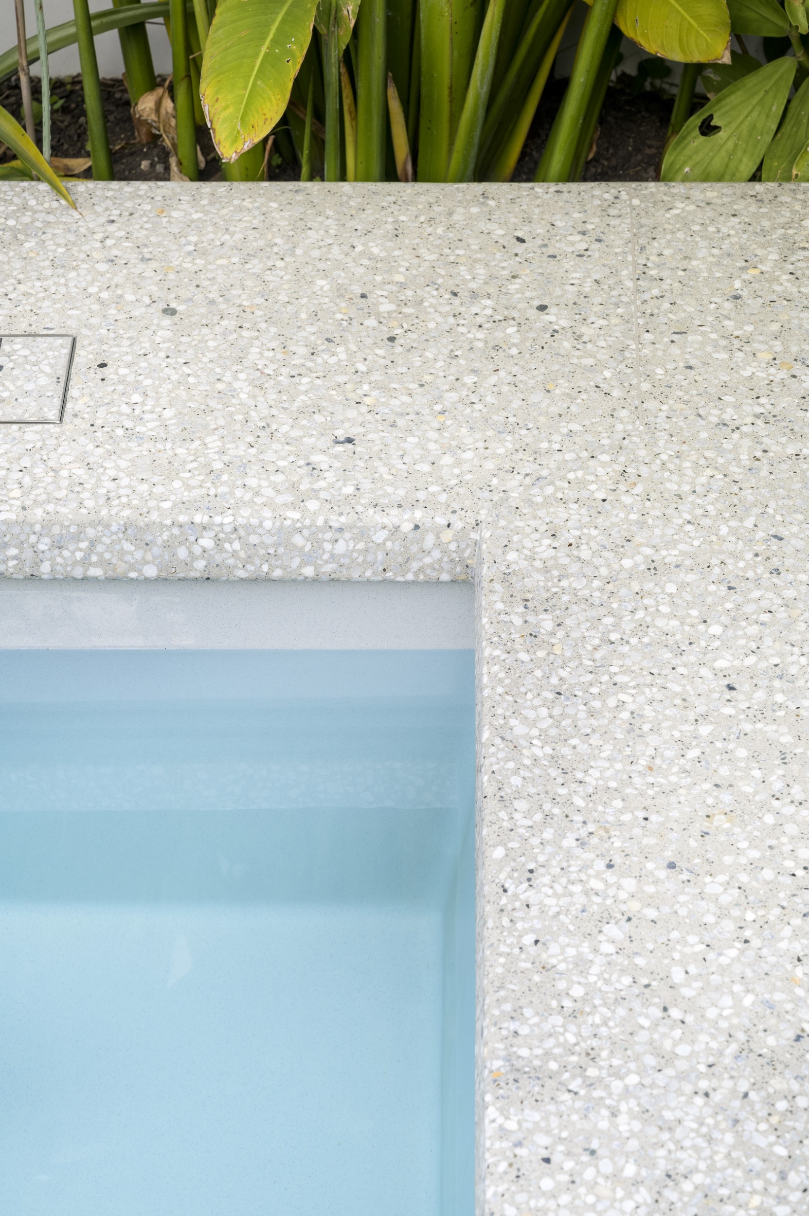 10 atelierphotography 20250617 0042 bradshaw modifier copy