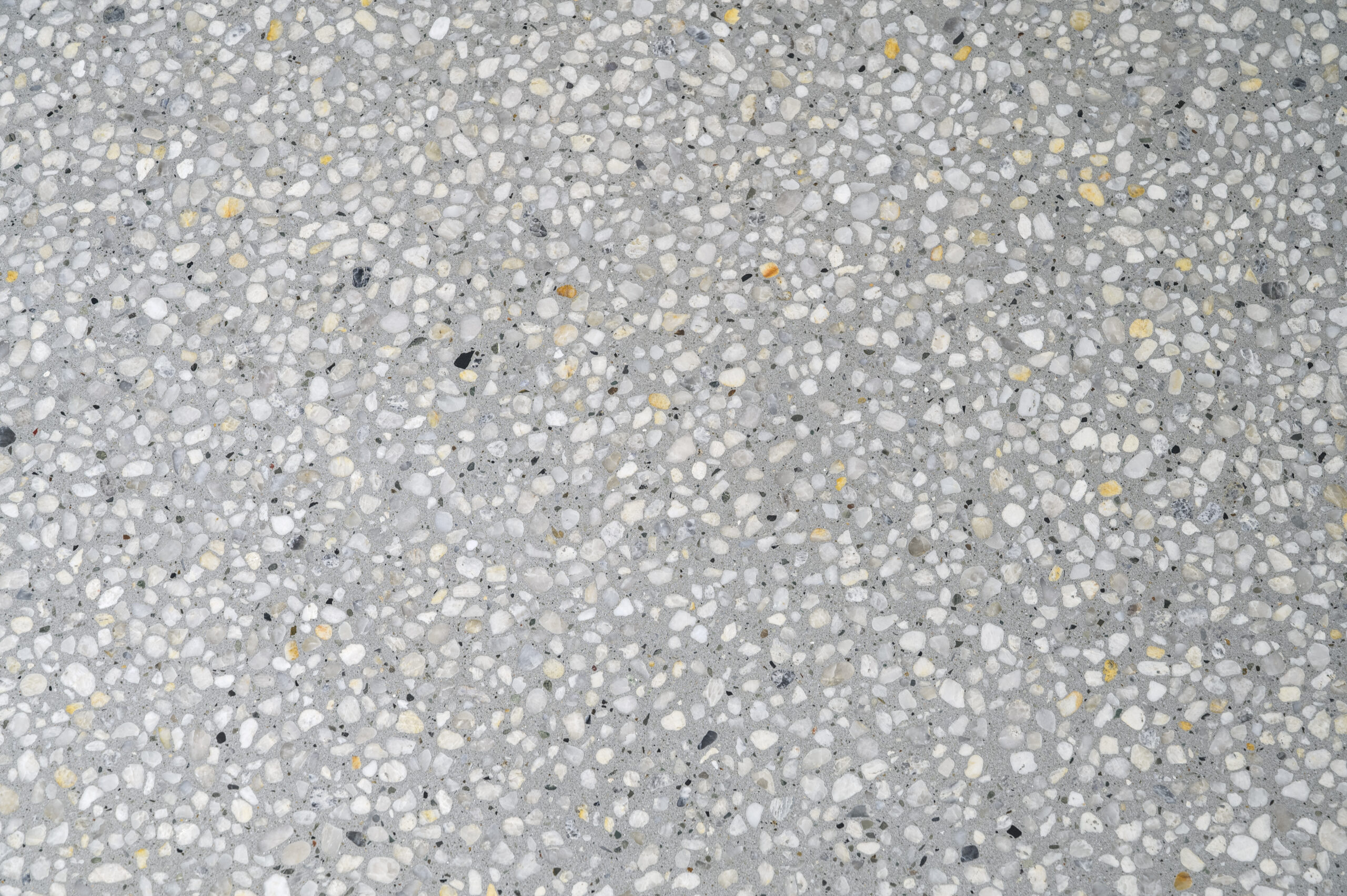 21 atelierphotography 20250617 0172 bradshaw modifier