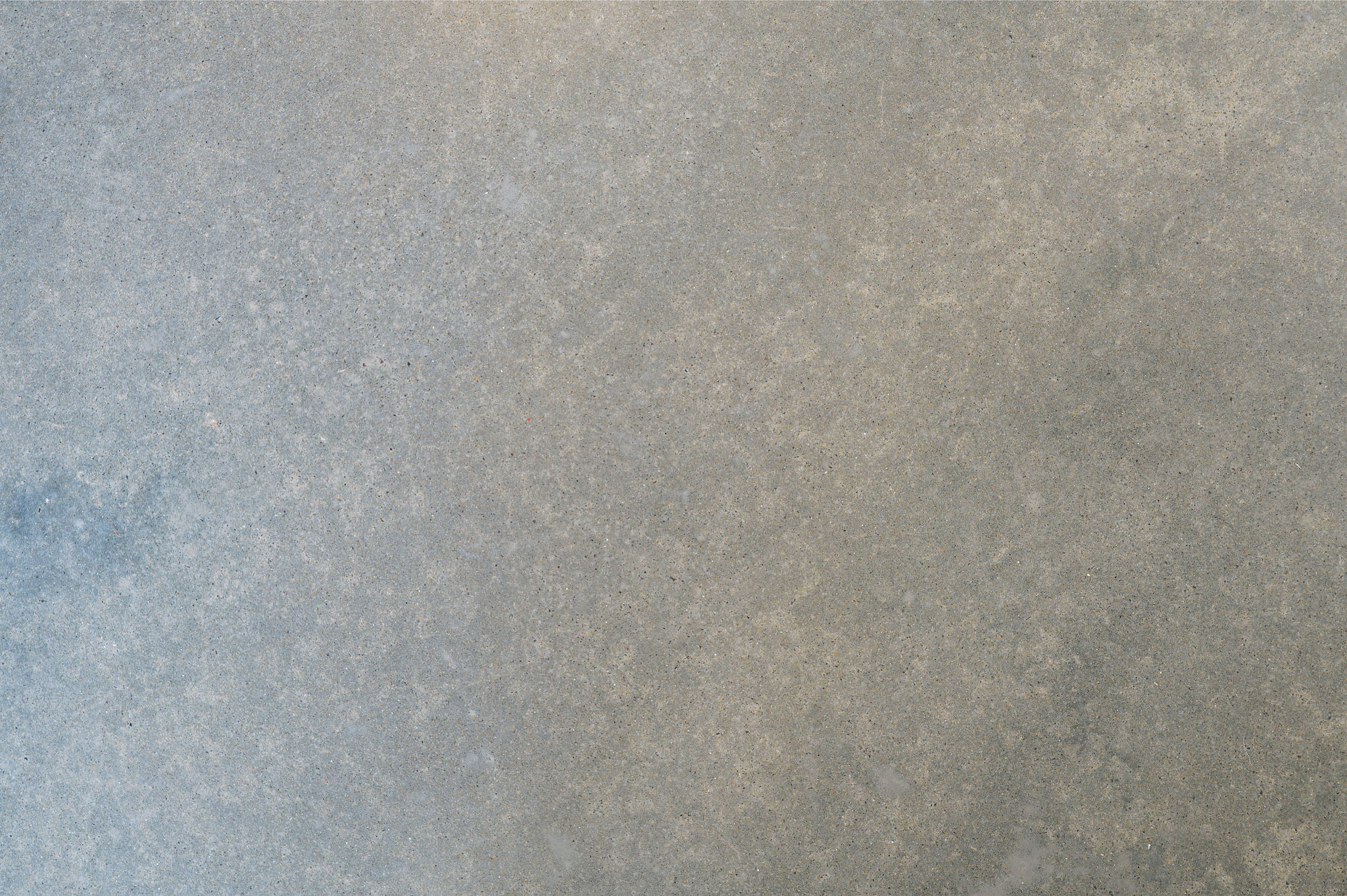 11 atelierphotography 20251024 0194 bradshaw modifier