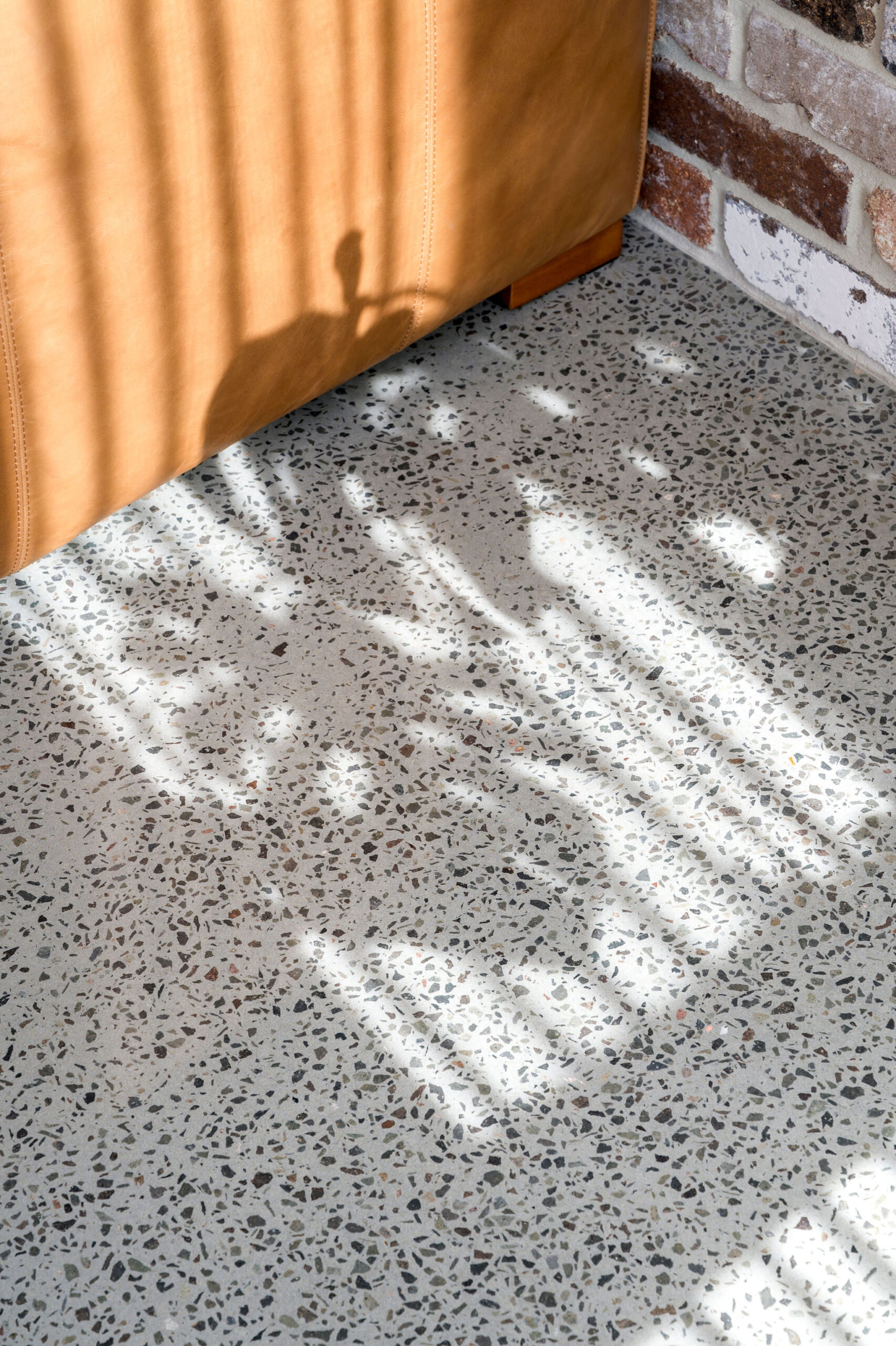 16 atelierphotography 20251014 0159 bradshaw modifier