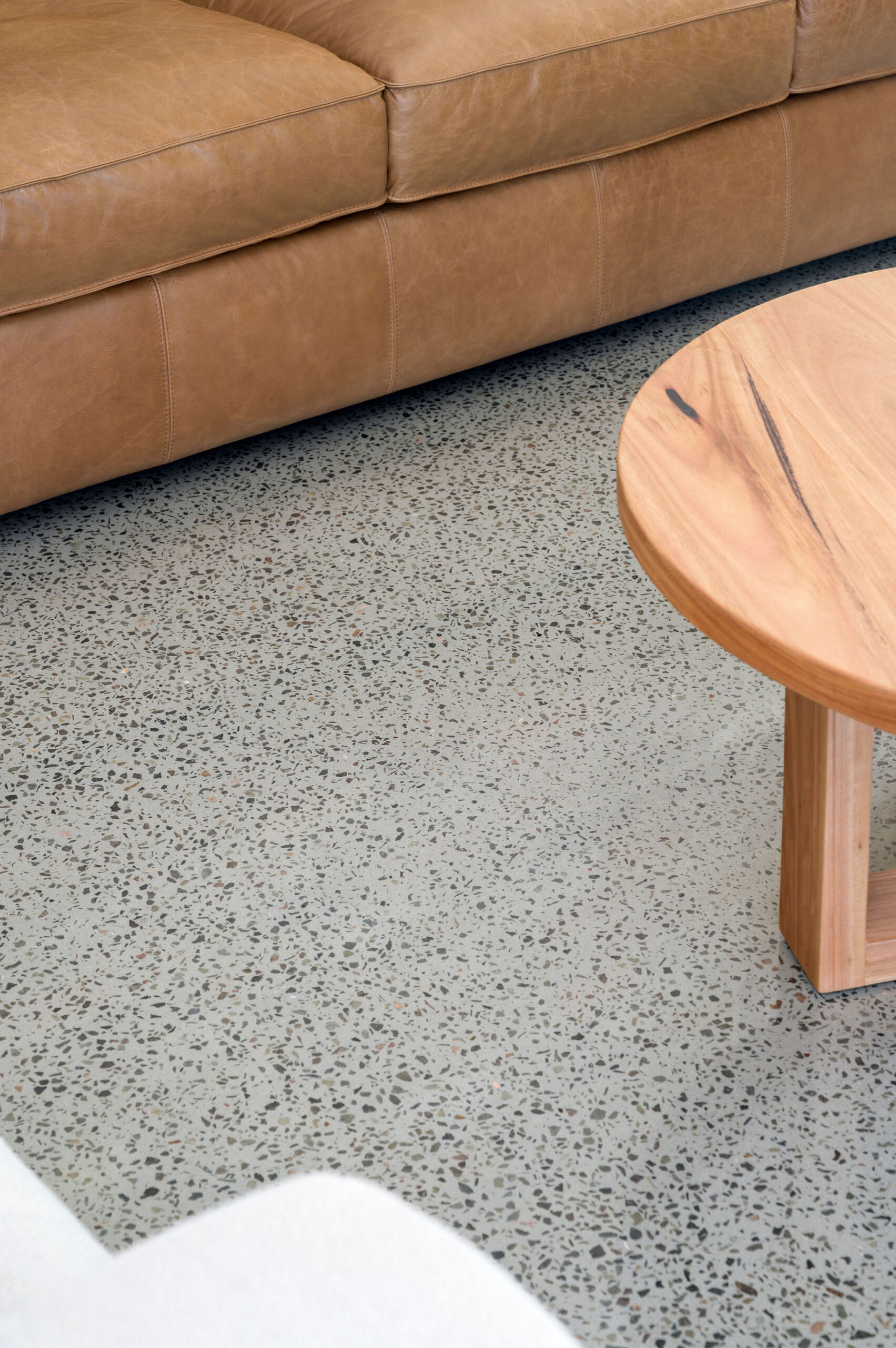 17 atelierphotography 20251014 0189 bradshaw modifier